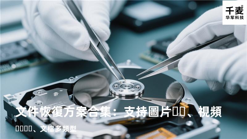 文件恢復方案合集：支持圖片、視頻、文檔多類型 